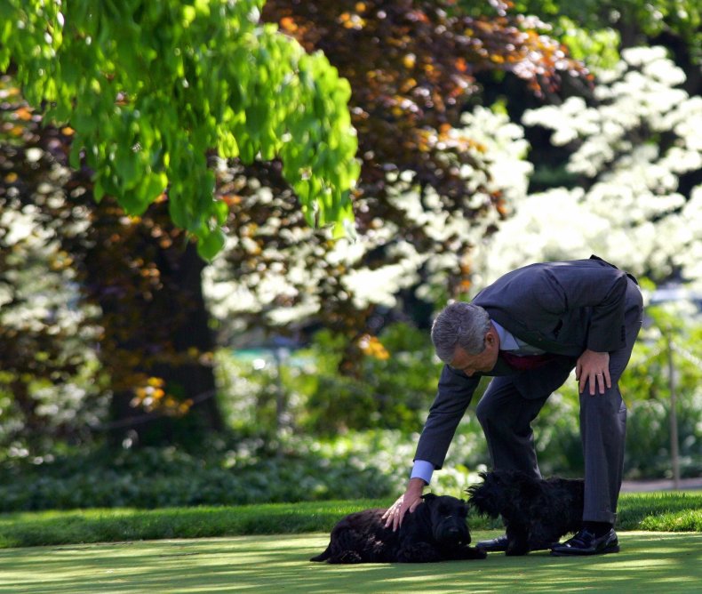 George W. Bush, Barney, and Miss Beazley