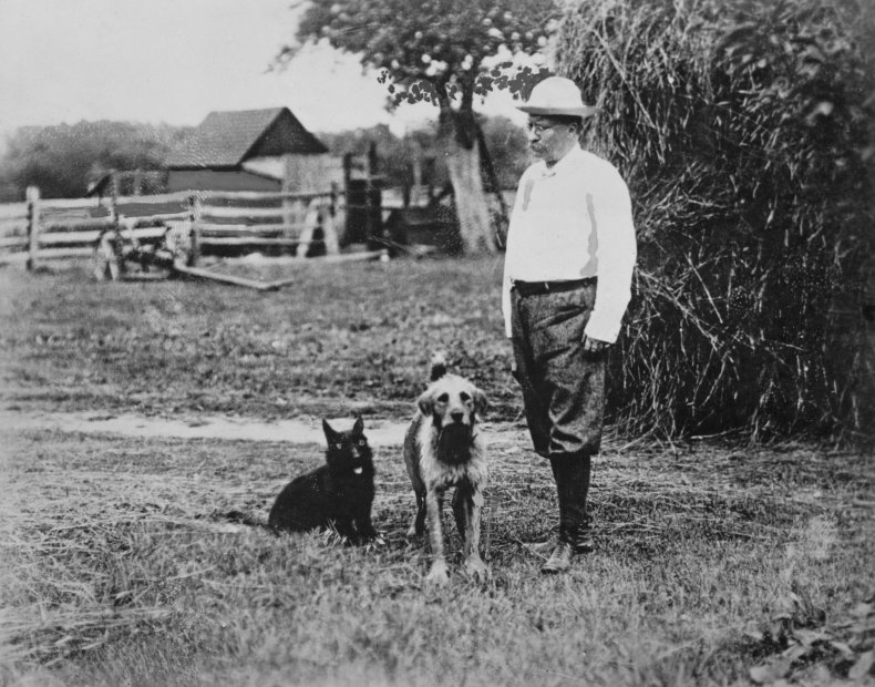Theodore Roosevelt