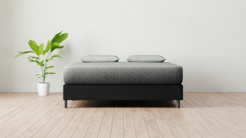 Amerisleep 5