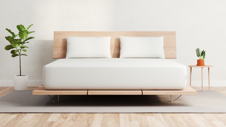 Amerisleep 6