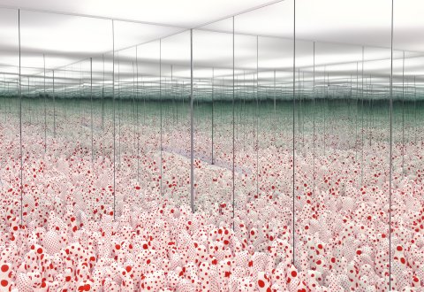Infinity Mirror Room Phalli's Field