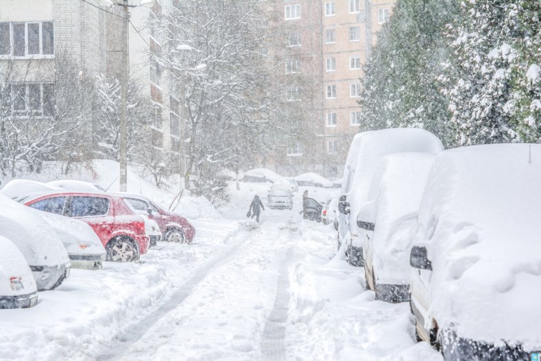 Snow Covered Cars