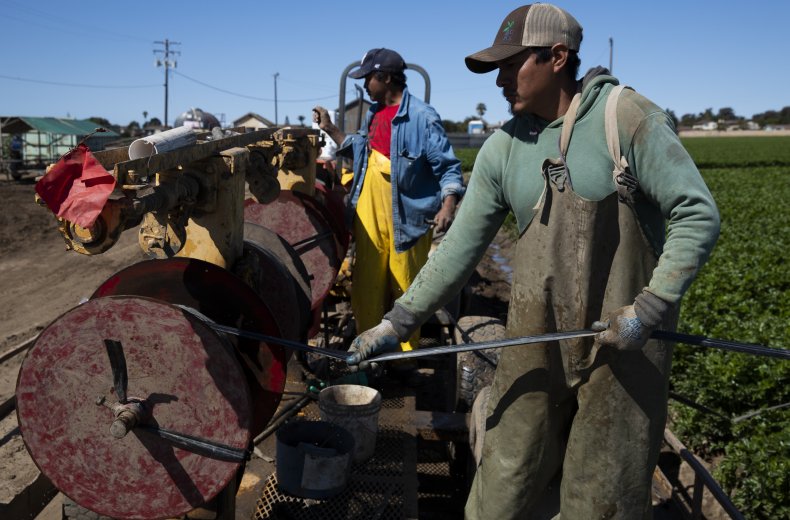 Farmworkers