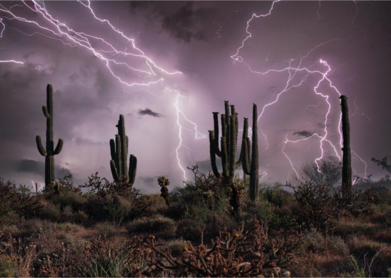 County with the most severe weather in every state