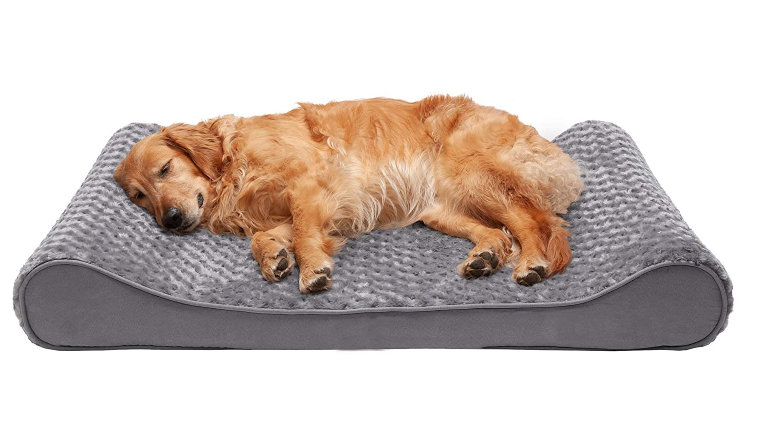 dog beds for large older dogs
