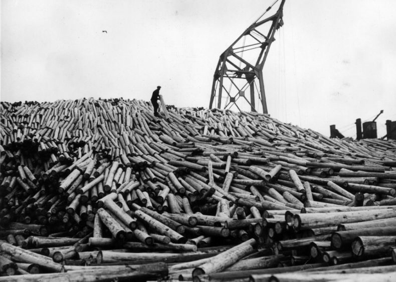 Stephen Smith: Lumber business owner