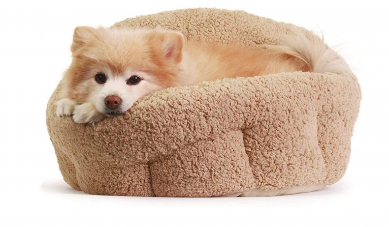 Top Heating Dog Bed