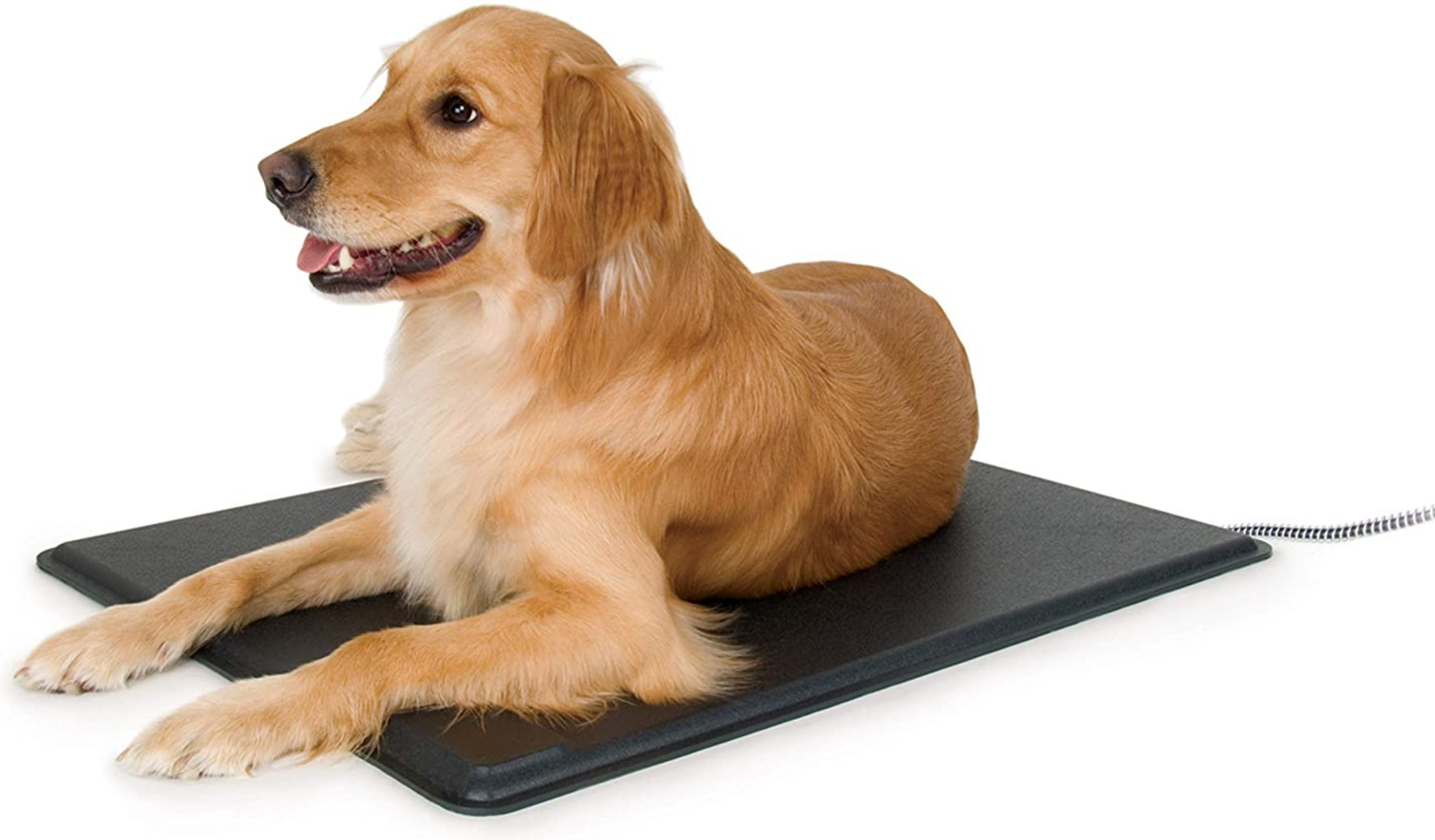 heated dog beds for outdoor use