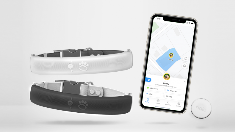 halo collar wireless fences