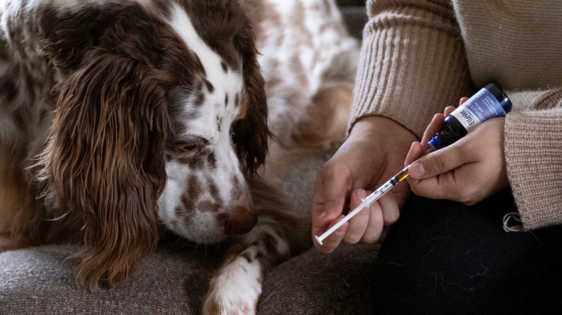 ellevet science cbd for dogs