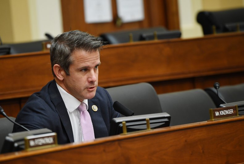 Rep. Adam Kinzinger, R-IL, questions witnesses during 