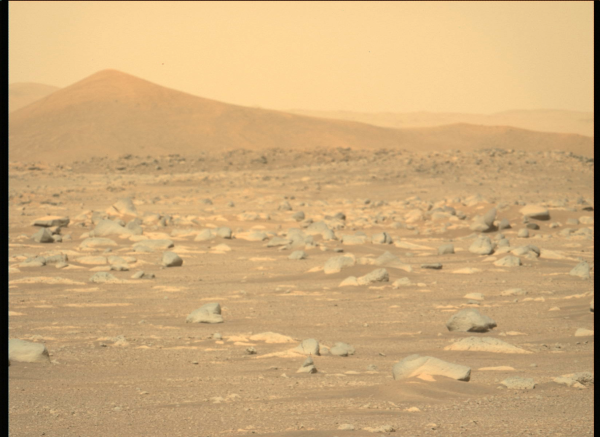 Mars image captured by NASA's Perseverance rover