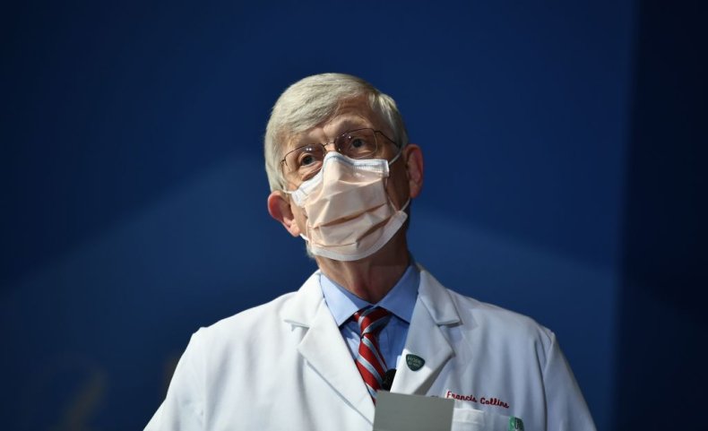National Institutes of Health director Francis Collins