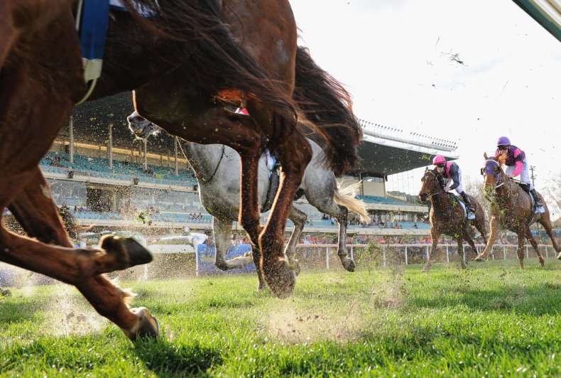Horse Racing