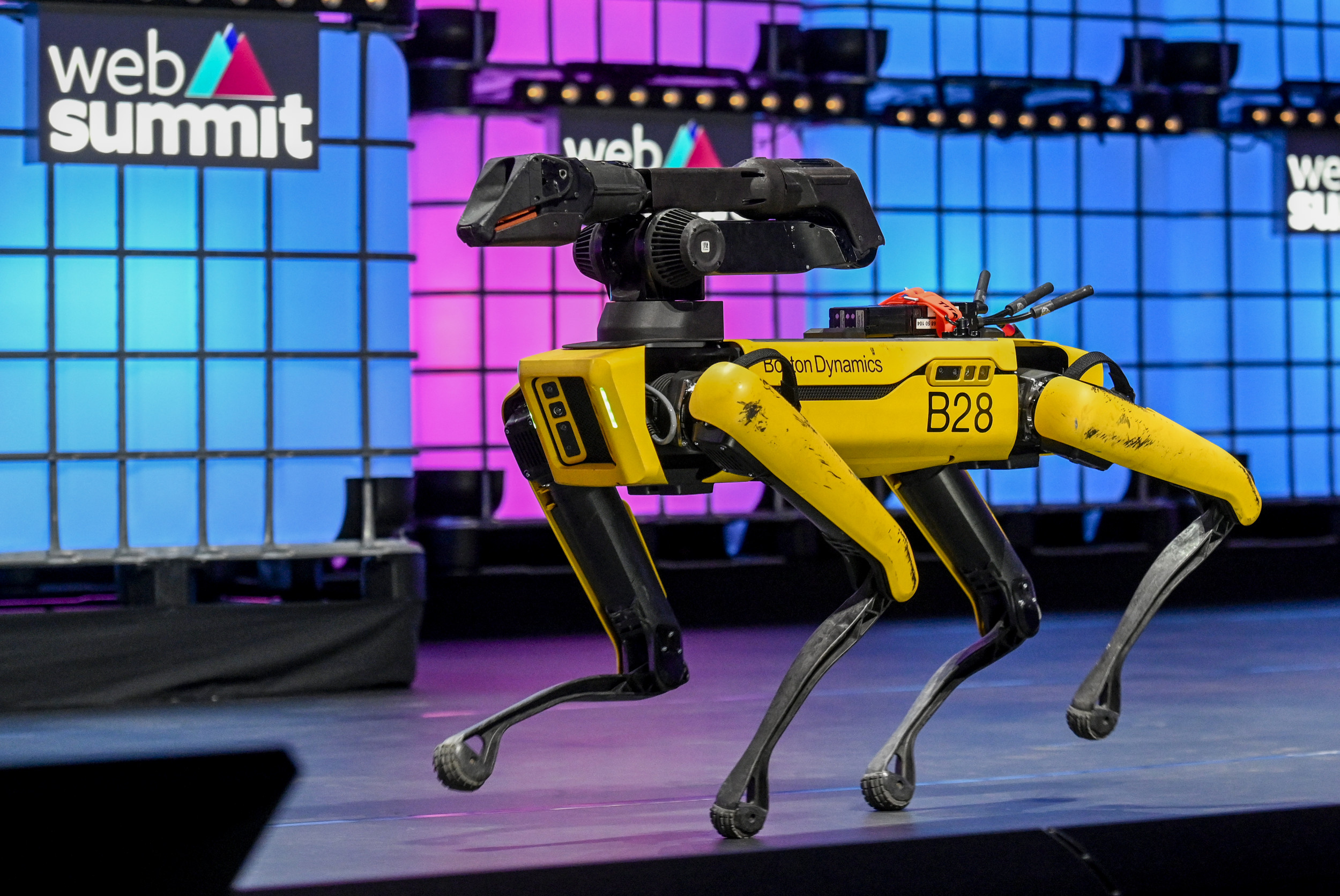 robo dog