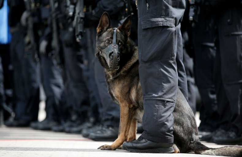 police dog k9
