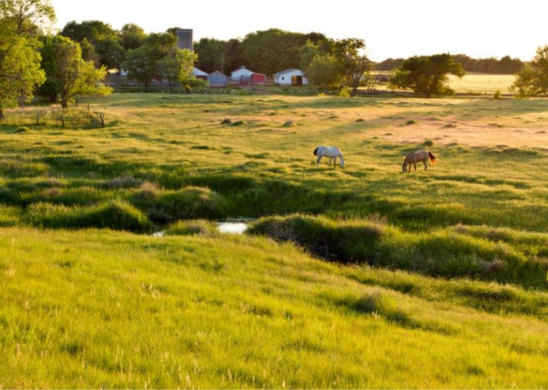 Kansas