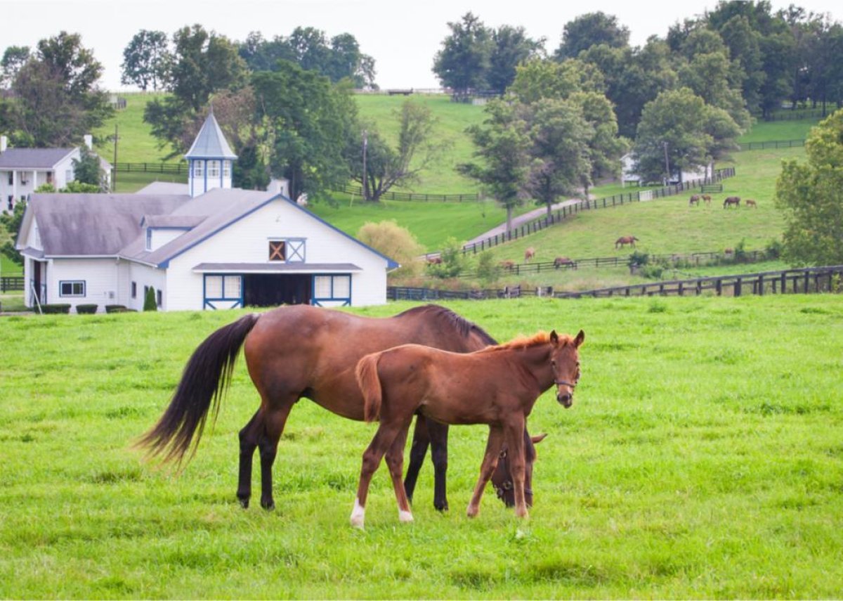 What Spring Looks Like in Every State, in Photos - Newsweek