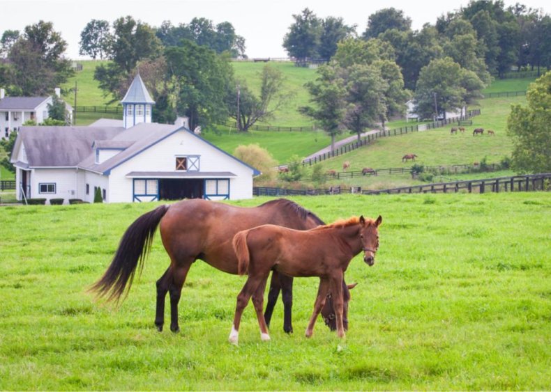 Kentucky