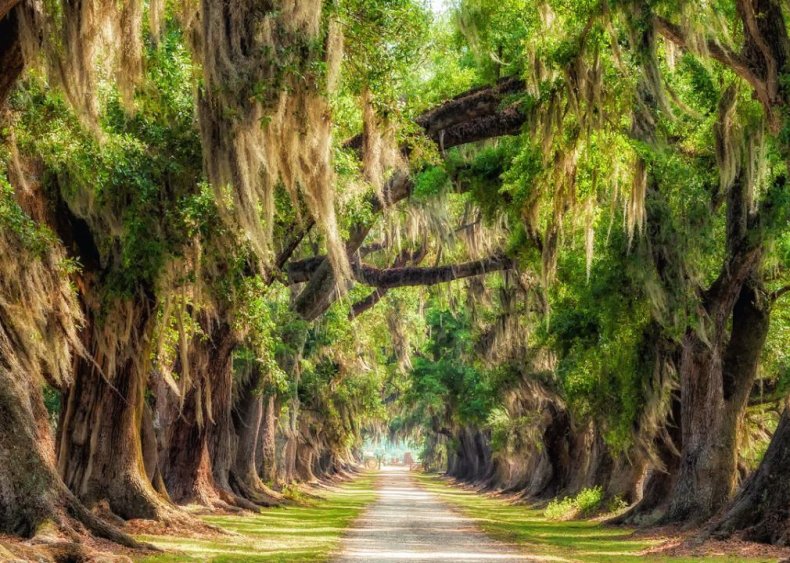 Louisiana