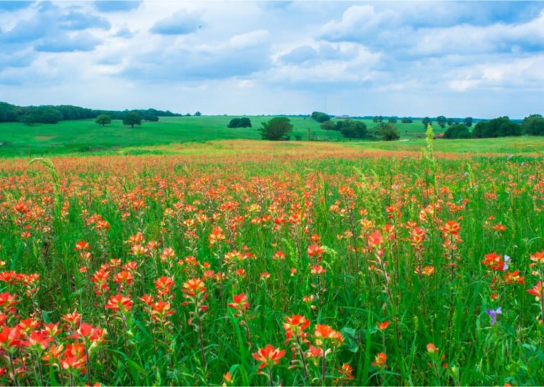 Oklahoma