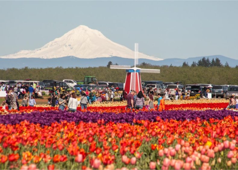 Oregon