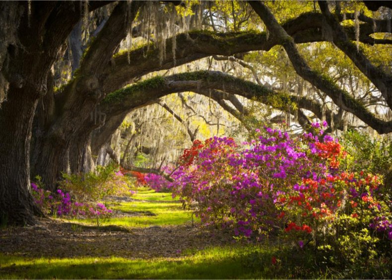South Carolina
