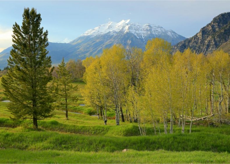 Utah