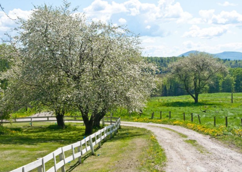 Vermont