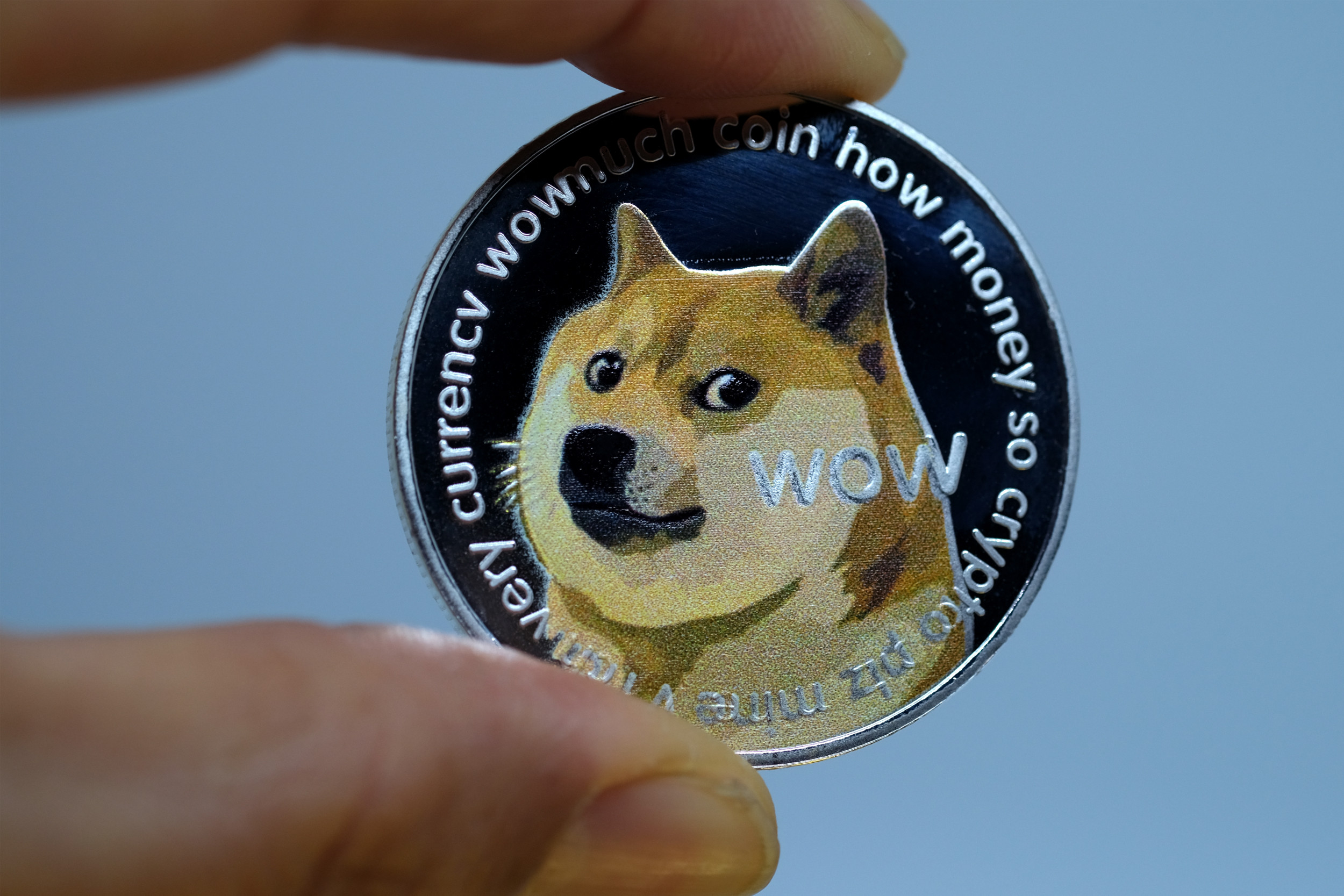 Does Elon Musk Own Dogecoin? / Elon Musk DOGECOIN SPIKE COMING - In september 2018, the founder of dogecoin was lying in bed, scrolling through twitter, when a direct message appeared in his inbox.