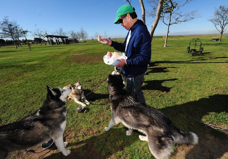 California dog park feeding 2012