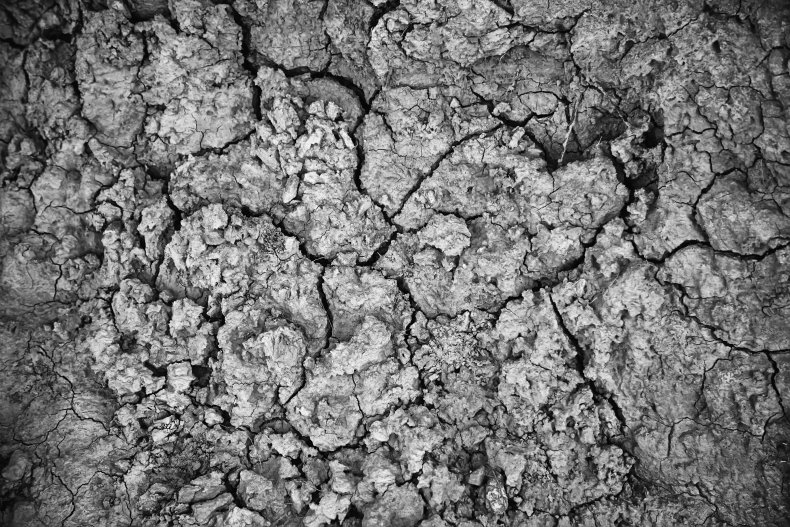 Dry ground