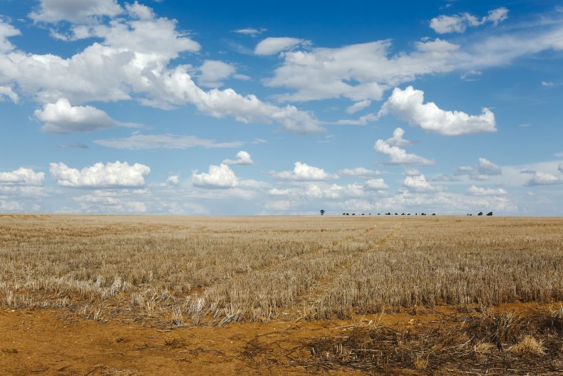Field image
