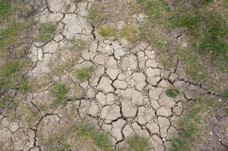 cracked land