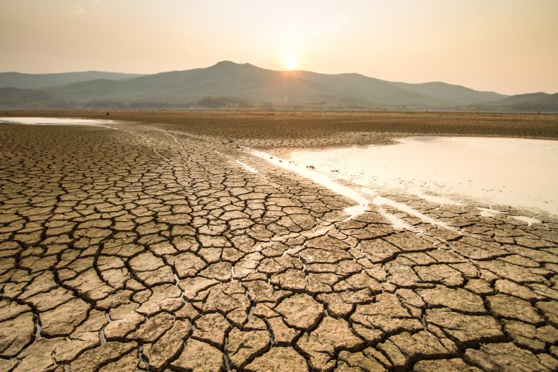 Dry land 2