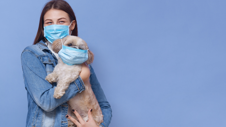 How to Protect Dogs from COVID-19