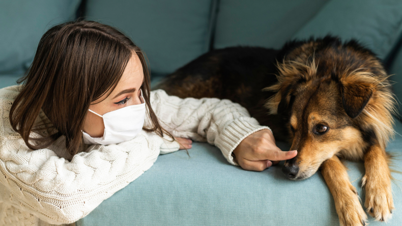 How to Protect Dogs from COVID-19