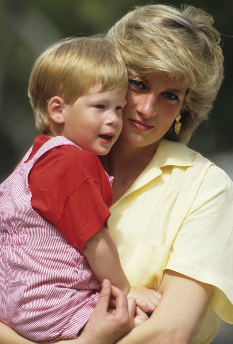 Princess Diana Prince Harry