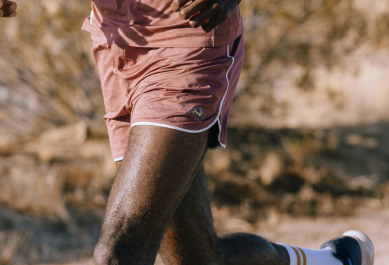 Tracksmith shorts