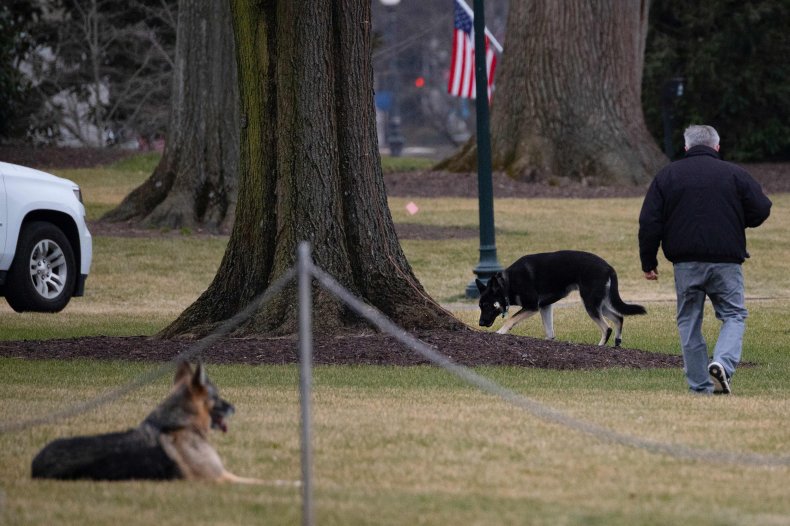 Biden dogs Major Champ White House 2021