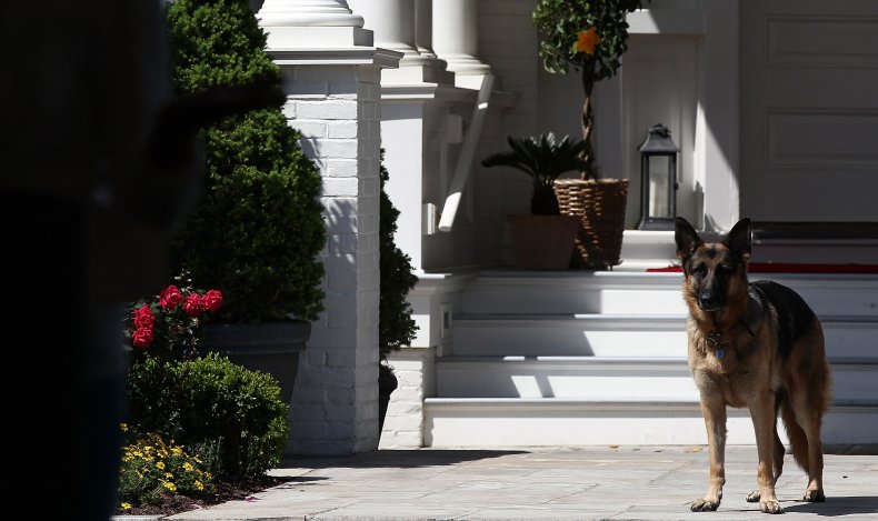 Joe Biden dog Champ 2012