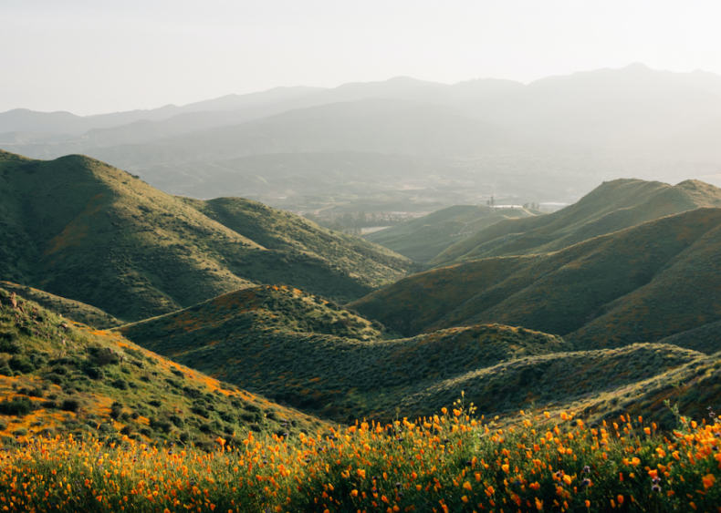 #41. Lake Elsinore, California