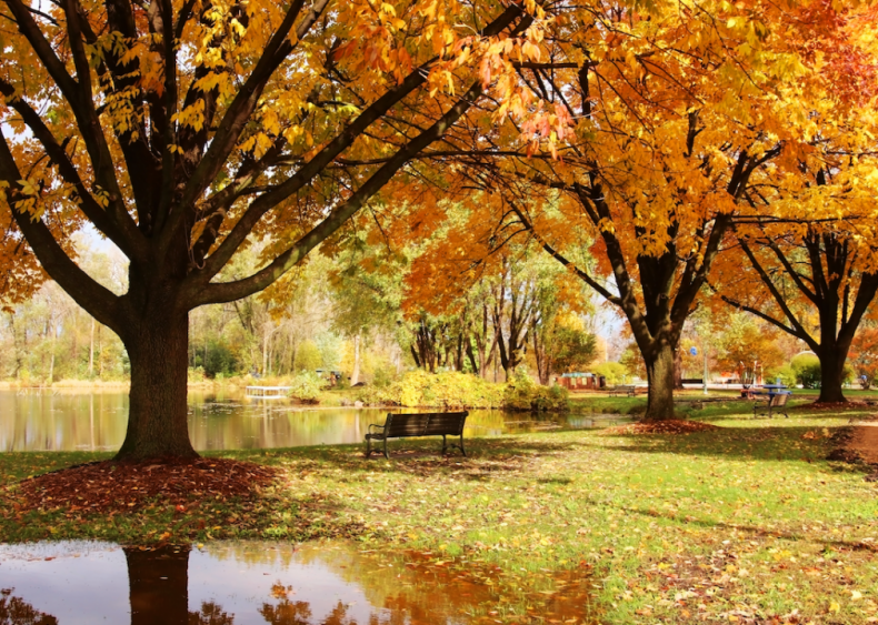 #11. Brookfield, Wisconsin