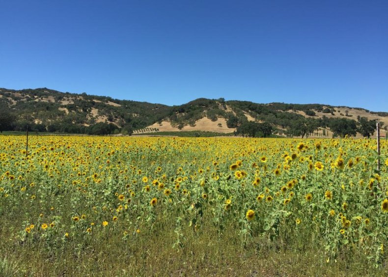 #22. Ukiah, California (tie)