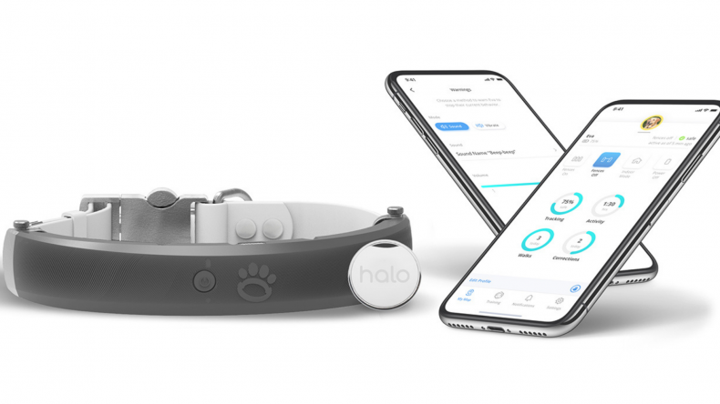 Smart Fence Technology Dog Collar