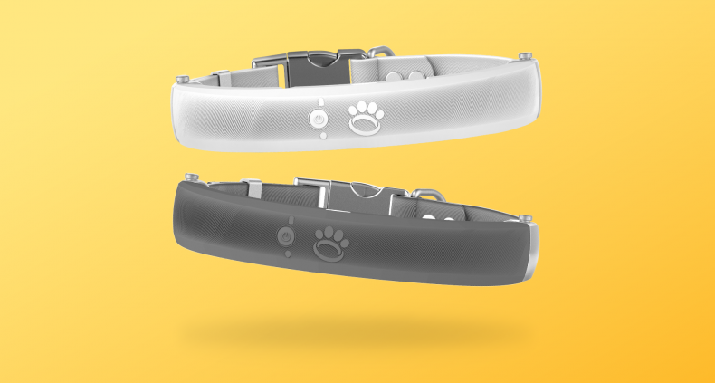 Smart Fence Technology Dog Collar