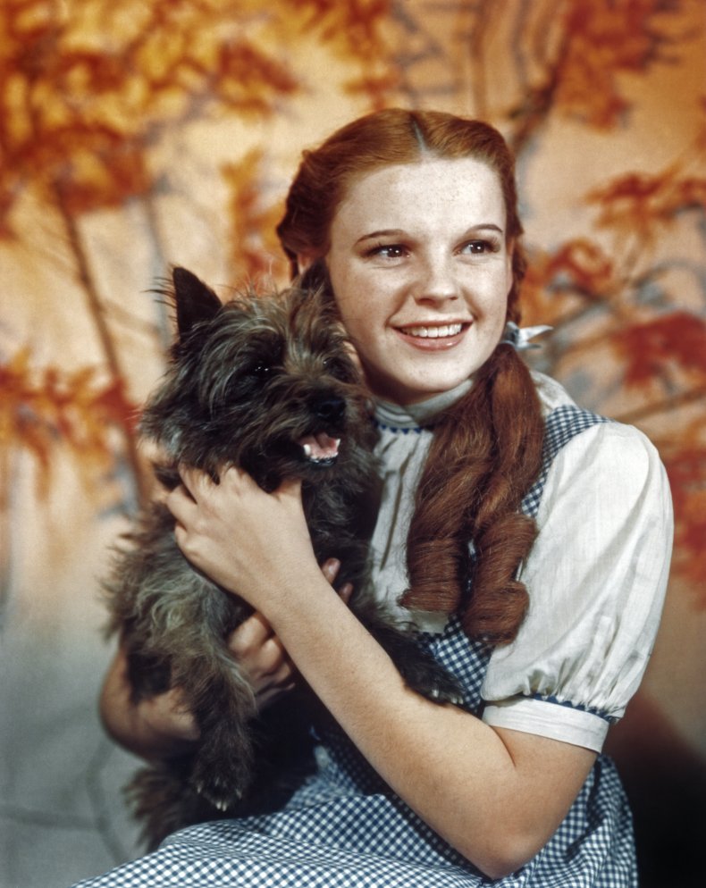Wizard of Oz