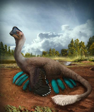 Dinosaur, science, dinosaur eggs, fossils Dinosaur, science, dinosaur eggs, fossils