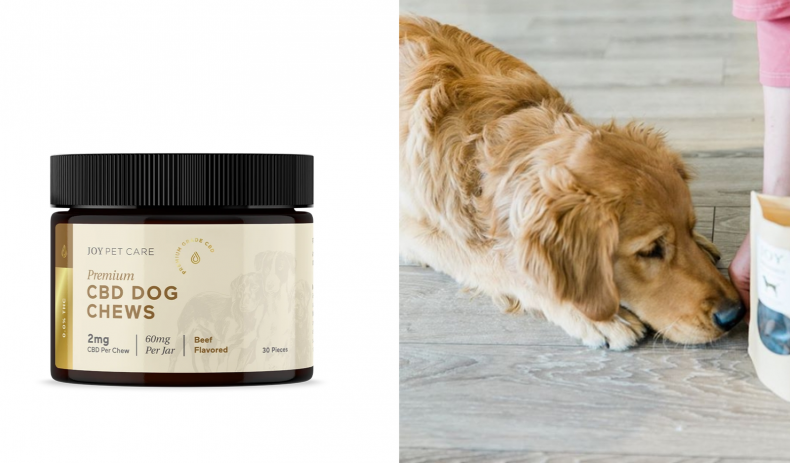 Best CBD Products for Senior Dogs