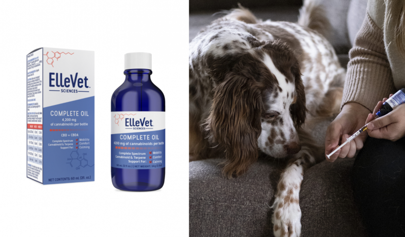 Best CBD Products for Senior Dogs